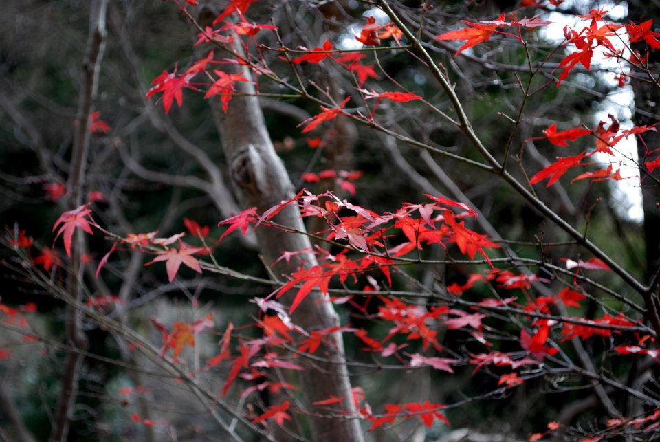 309627_4672731568542_1029398722_n