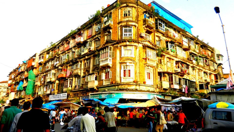 417227_4043952049447_147336211_n